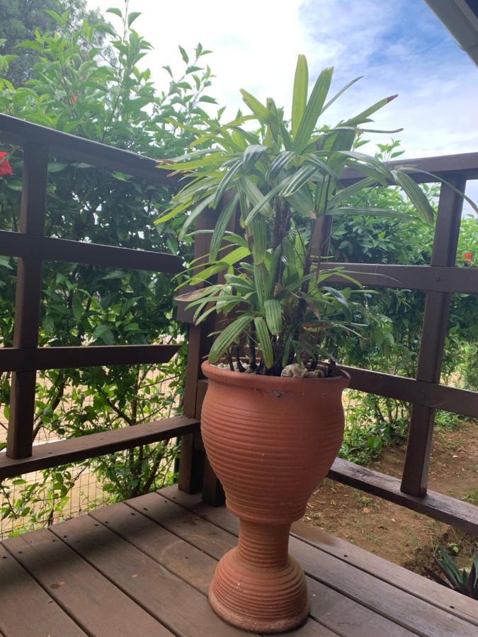 Pousada Ventos Da Atalaia Fernando de Noronha Exteriör bild